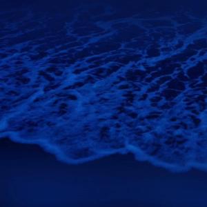 久草免费福利在线
