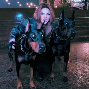 久草免费福利在线
